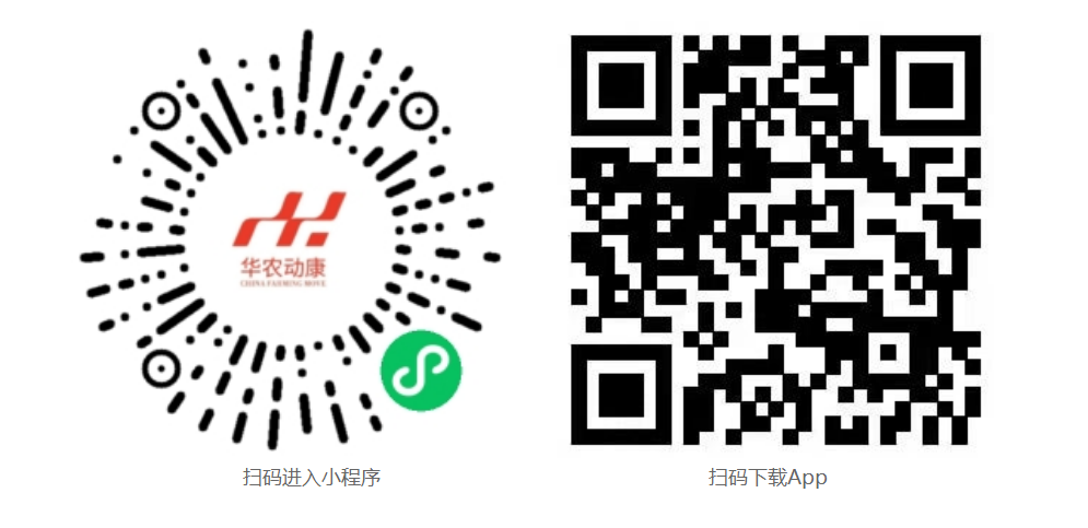 凯发k8一触即发App下载和微信小程序二维码